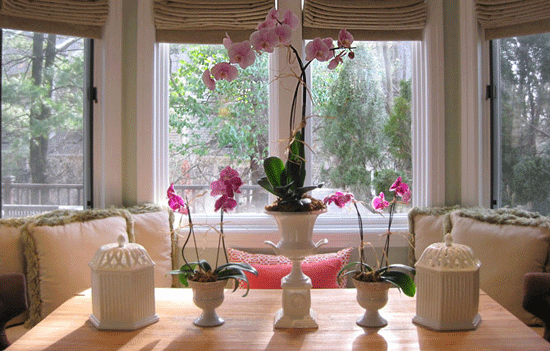 Орхидеи в интерьере: элегантные и нежные