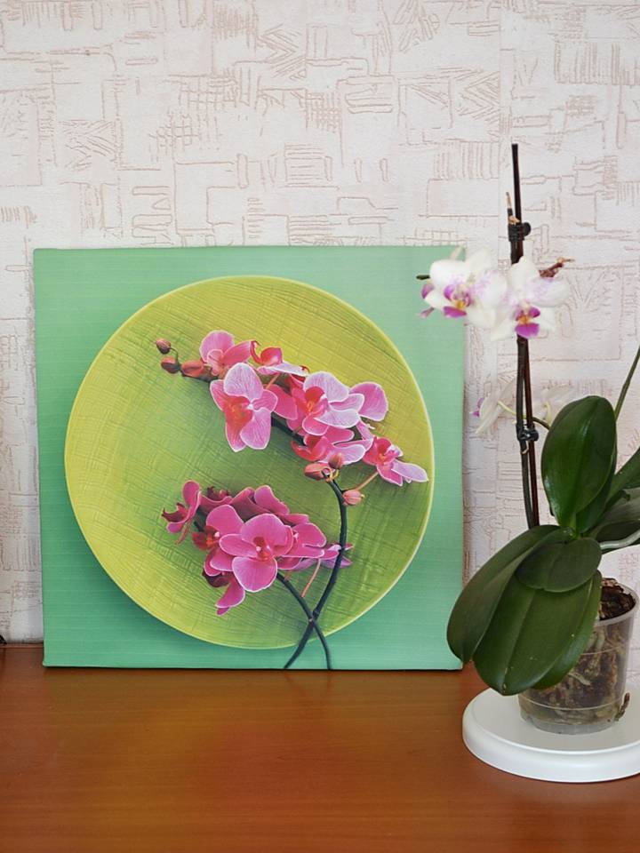 Орхидеи в интерьере: элегантные и нежные