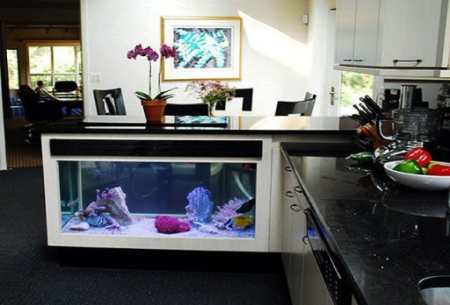 Как стильно вписать аквариум в интерьер кухни: примеры аквариумного дизайна