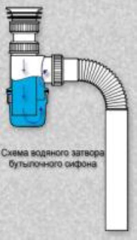 Запах из раковины на кухне - основные причины